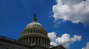 Сенат США одобрил выделение Украине $300 млн на оборону