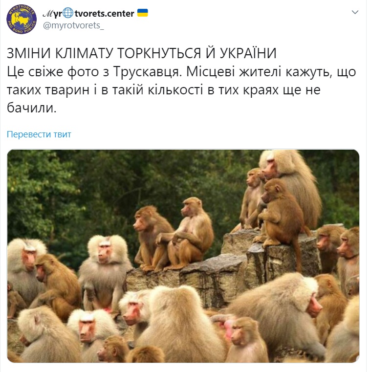 В сети жестко высмеяли обучение депутатов от «Слуги народа» в Трускавце. ФОТО В сети жестко высмеяли обучение депутатов от «Слуги народа» в Трускавце. ФОТО