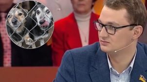 В «Слуге народа» заявили, что Брагар «ничего не нарушил», когда предложил пенсионерке продать собаку