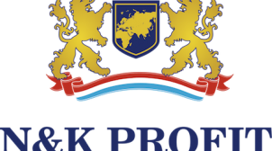 Быстрая регистрация компании в Нидерландах