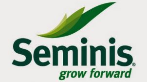 В чем преимущества семян Seminis