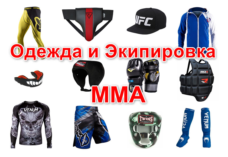 Какую выбрать спортивную одежду и экипировку для единоборств Какую выбрать спортивную одежду и экипировку для единоборств