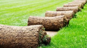 Особенности универсального рулонного газона