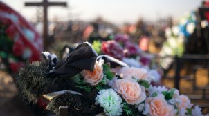 Ритуальні послуги в Києві