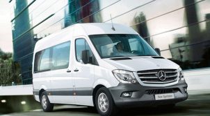 Каменское-Приморск — частные перевозки от «DneproBus»