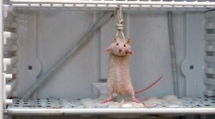 Топливо из Госрезерва тоже разворовали- разоблачена еще одна схема