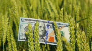 Украина экспортировала рекордные 57 млн тонн зерновых