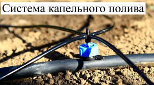 Преимущества системы капельного полива