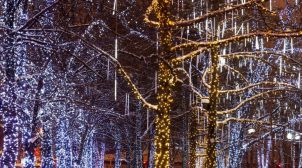 (Рус) Оформление городских парков к праздникам