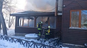 В Киеве на территории парка Муромец произошел пожар. ФОТО