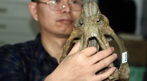 В Китае нашли окаменелую рептилию с двумя бивнями