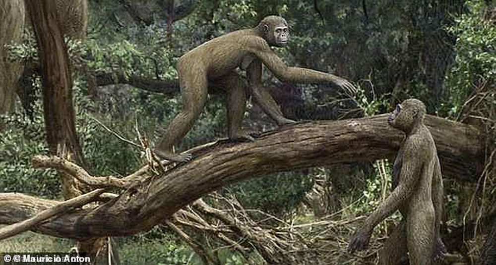 Вчені пояснили, як еволюція кінцівок поставила наших предків на ноги