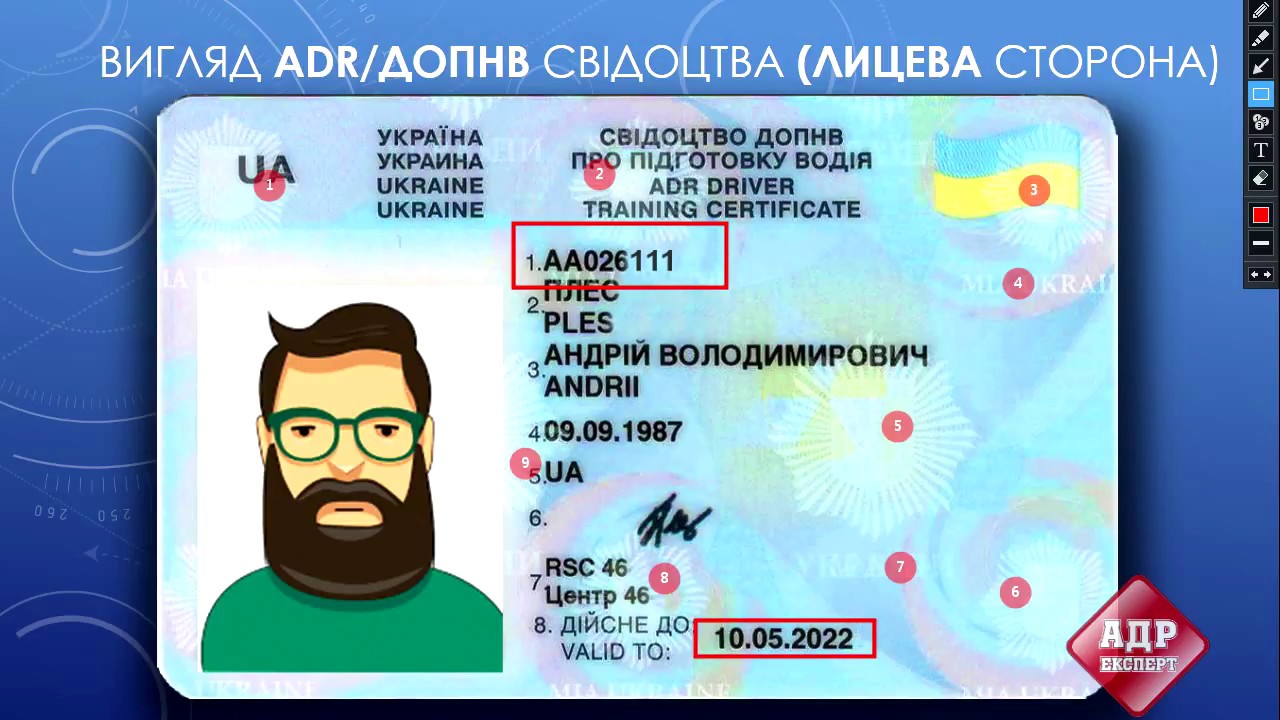 Чим корисні курси АДР? Чим корисні курси АДР?