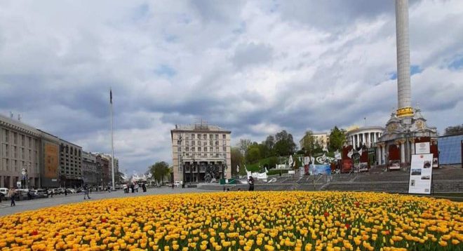 У центрі Києва зацвіли тисячі тюльпанів. ФОТО