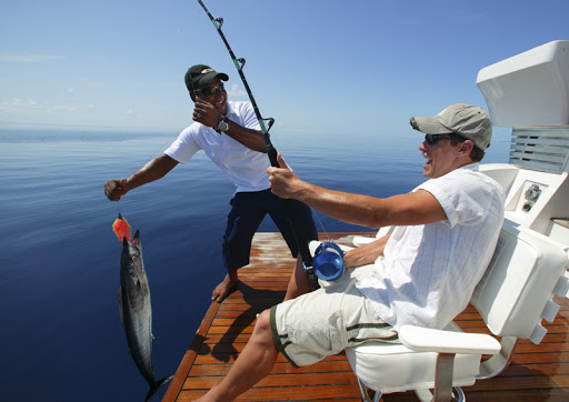 Критерии выбора эхолотов для рыбалки