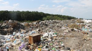 Украинец в год генерирует около полутонны мусора