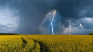 В Украине ожидаются сильные грозы