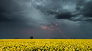 В Украину идут жара и грозы