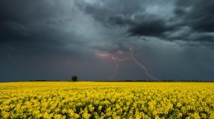 В Украине ожидаются грозы, град и шквалы