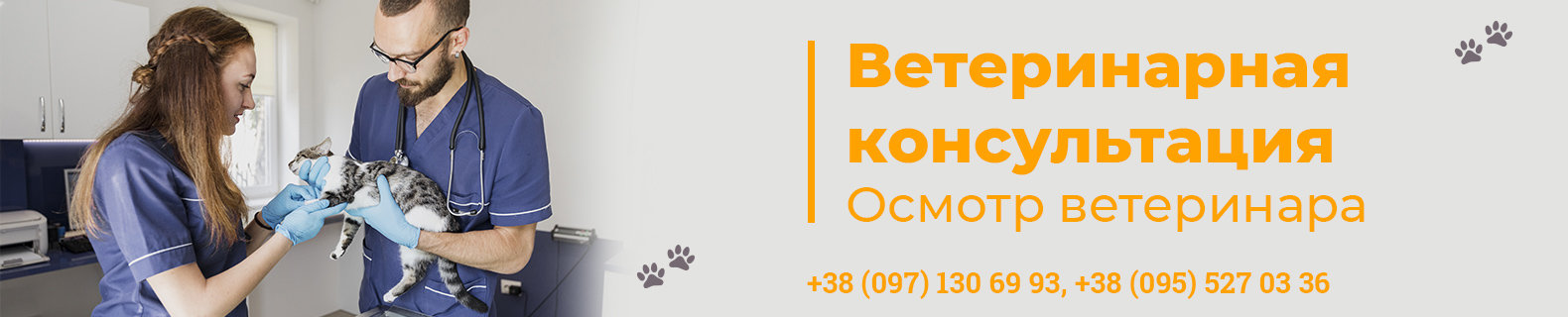 Клиника для четвероногих друзей Клиника для четвероногих друзей