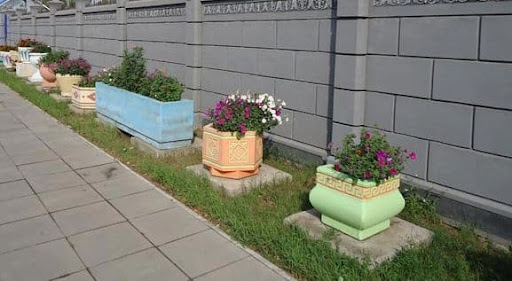 Как выбрать вазоны для цветов