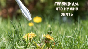 Виды гербицидов