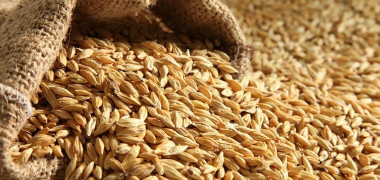 Оккупанты признались, что продают украденное у Украины зерно