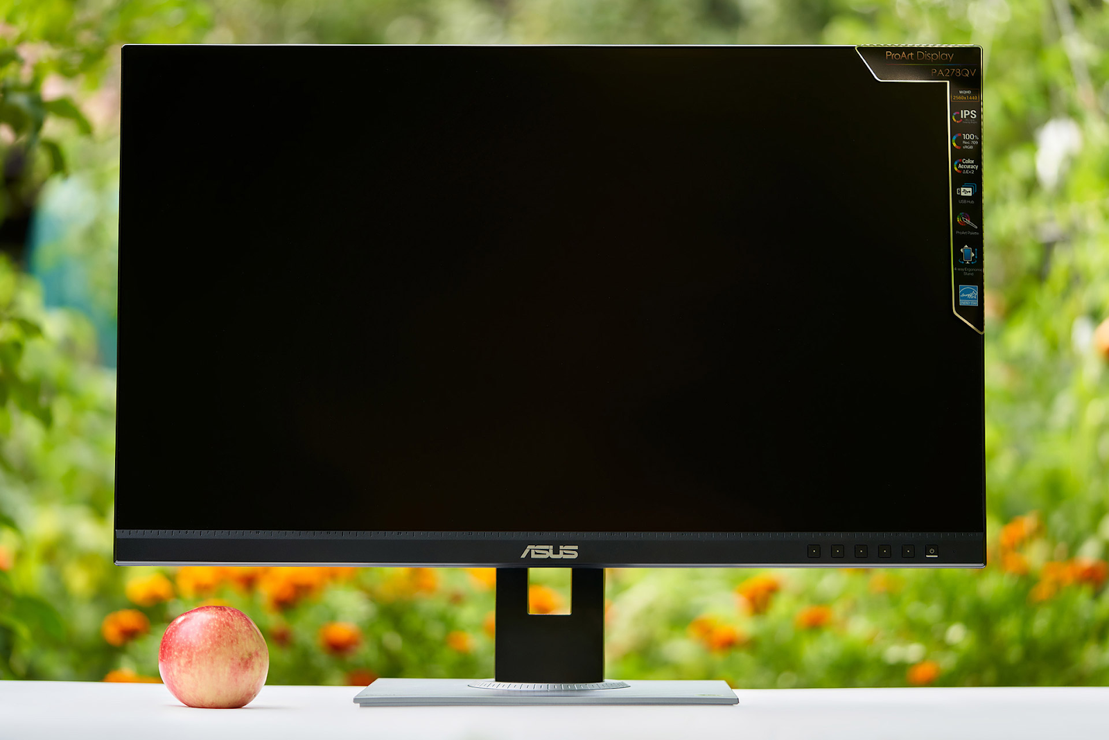 Мониторы Asus: основные серии